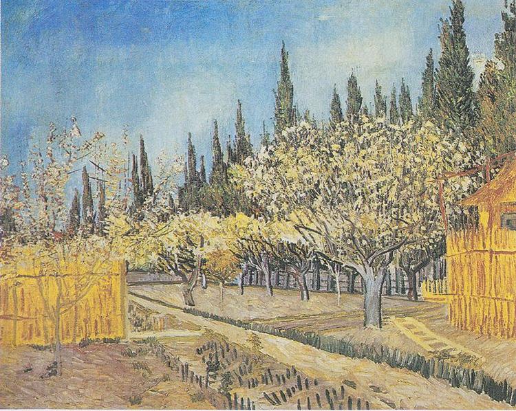 Vincent Van Gogh Flowering orchard Spain oil painting art